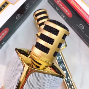 fb649e8c8f5b74052d4a  MIC KARAOKE SD17